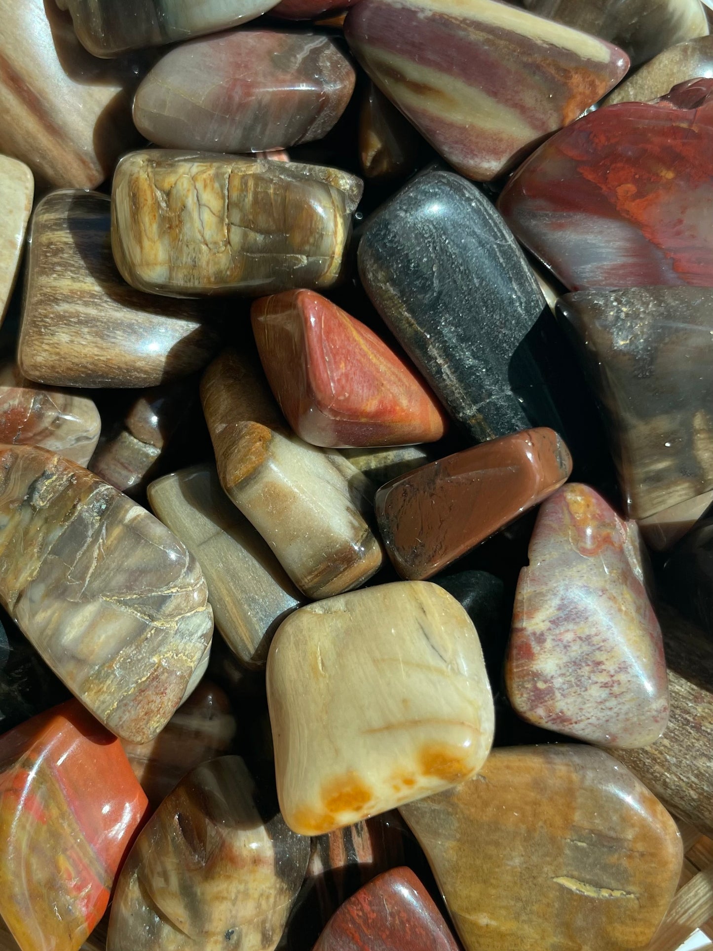 Petrified Wood Tumble