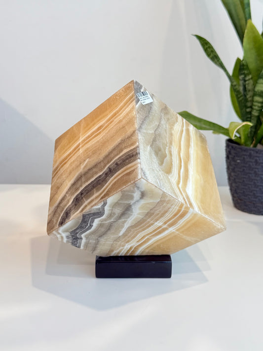 Zebra Aragonite Box Lamp