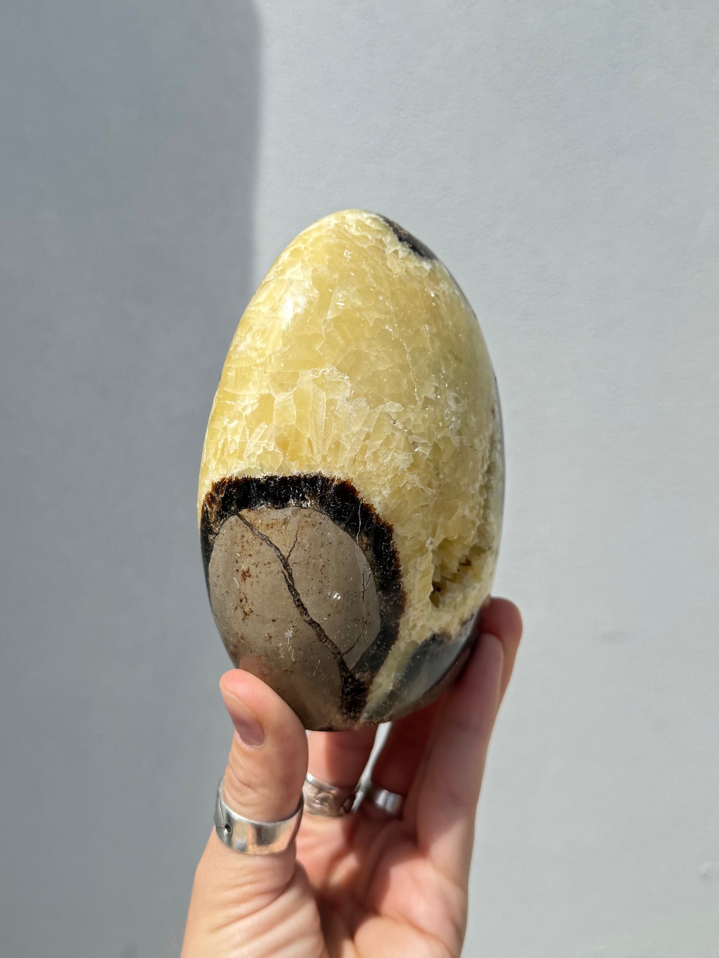 Septarian