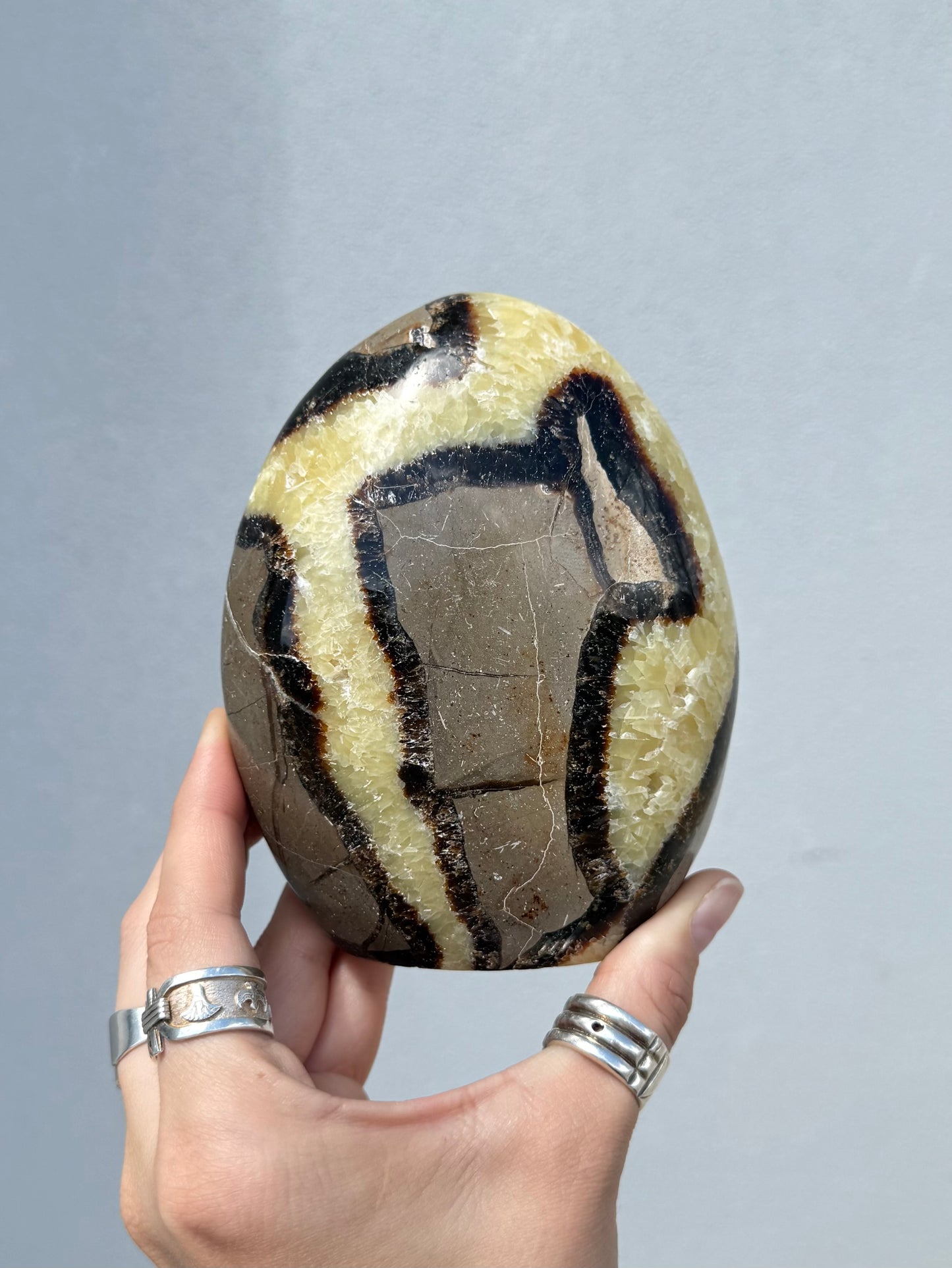 Septarian