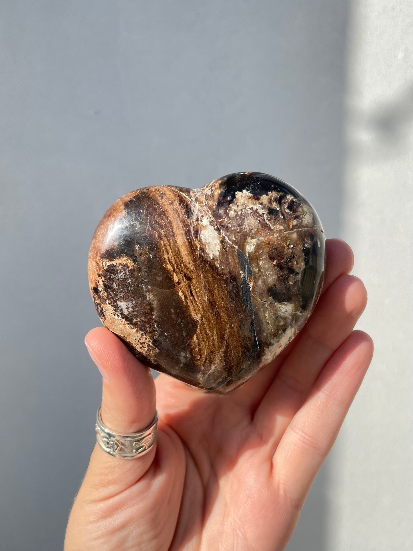 MPetrified Wood Heart