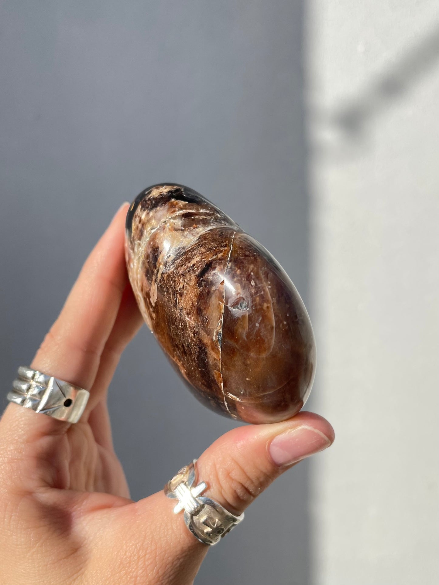MPetrified Wood Heart