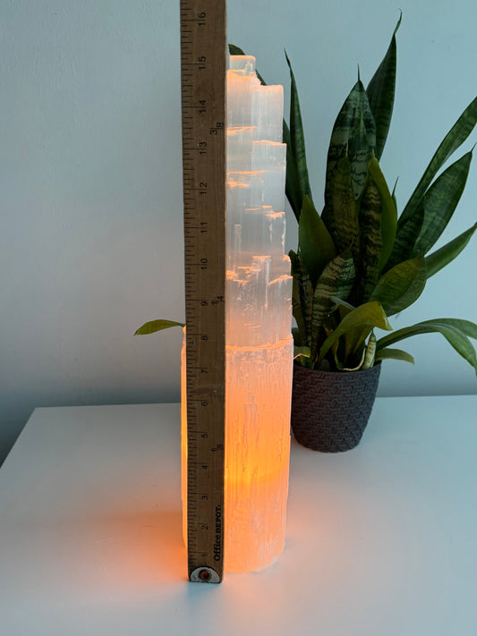 Selenite Lamp ( 15” Tall )