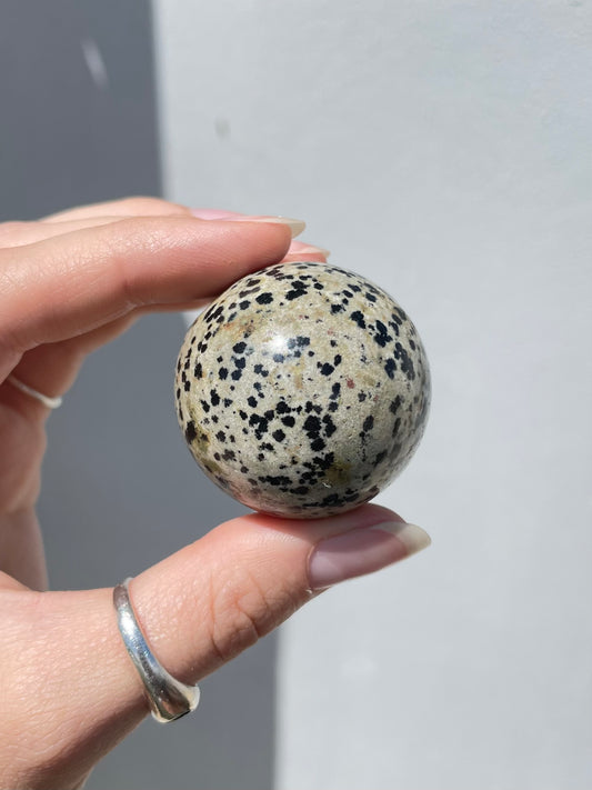 Dalmatian Jasper