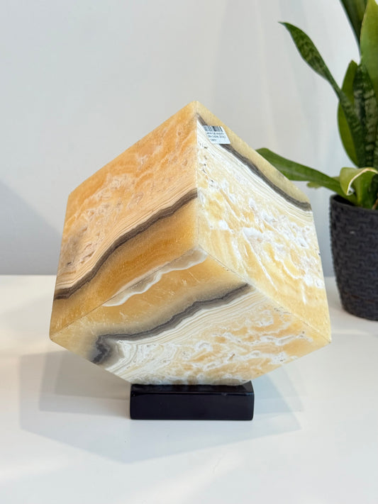 Zebra Aragonite Box Lamp
