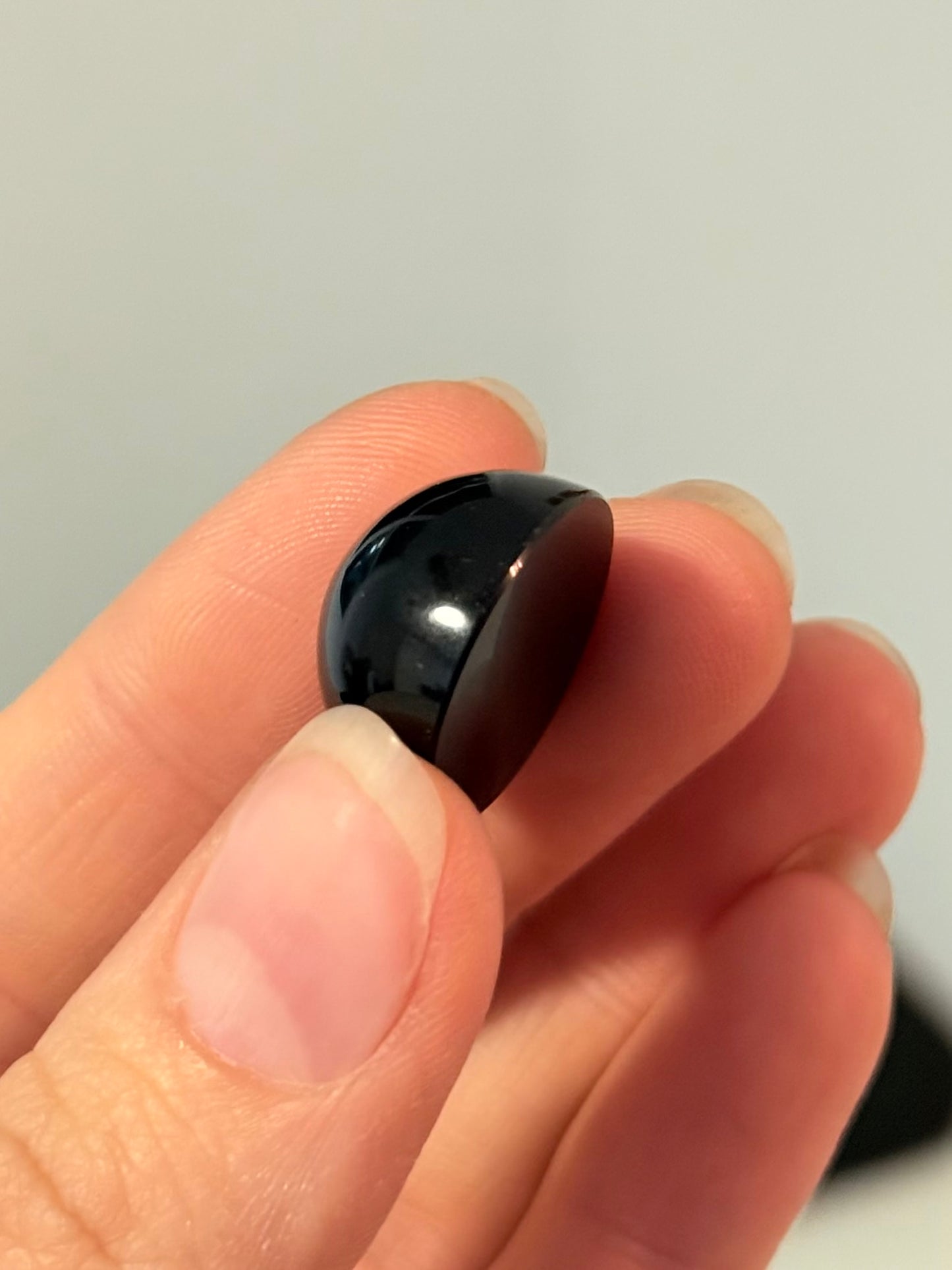 Ombliguero de obsidiana