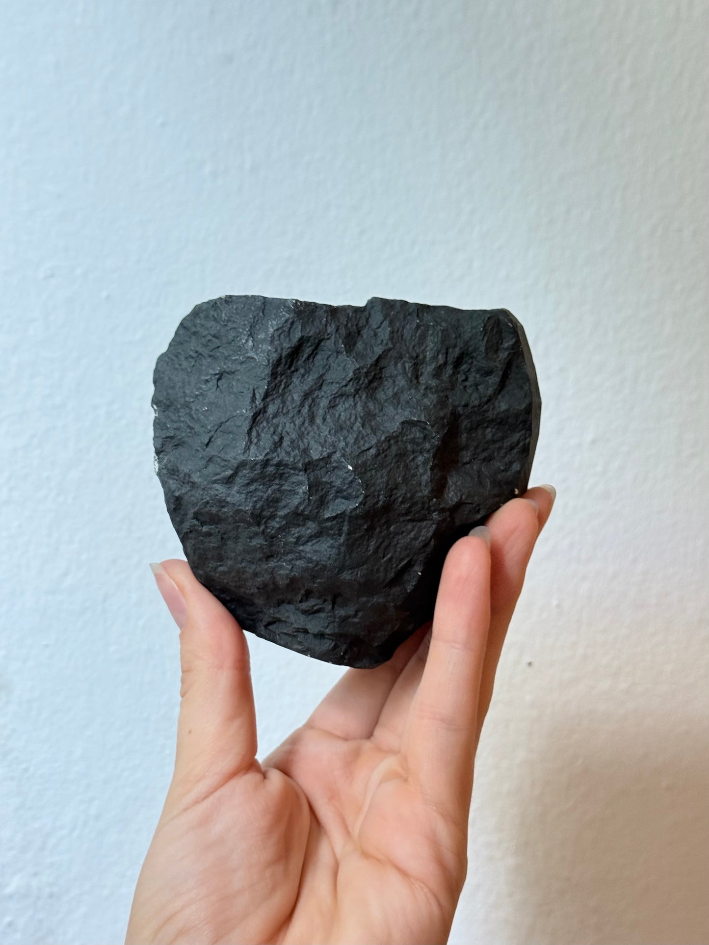 Chrysanthemum Stone (Rizantemum)