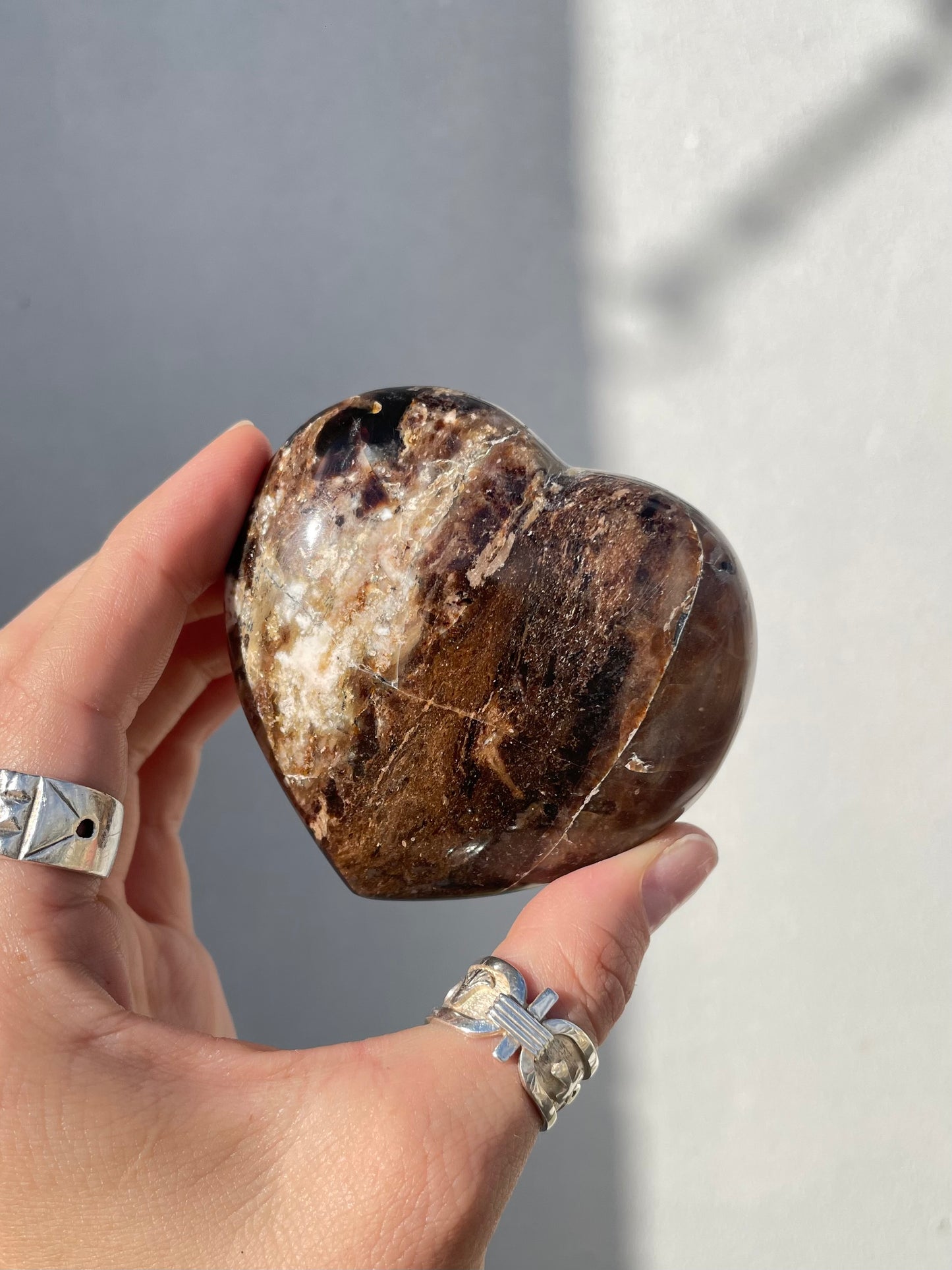 MPetrified Wood Heart