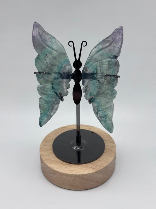 Fluorite Butterfly
