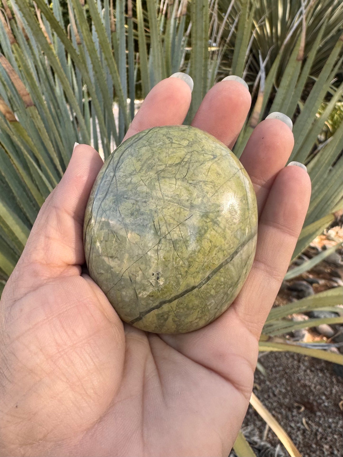 Palm Stone Serpentine ( New Jade ) - ( Large )