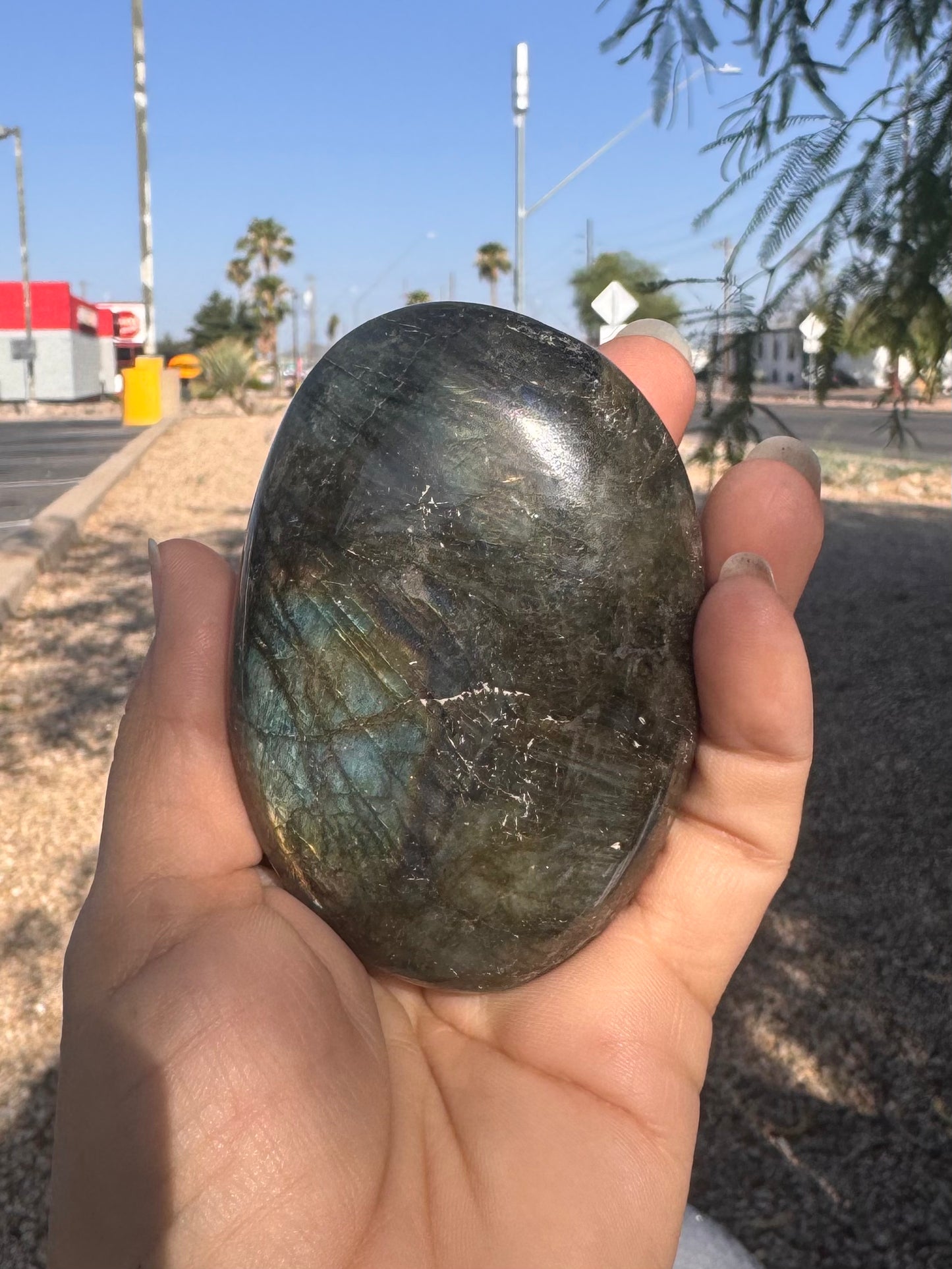 Palm Stone Labradorite ( XLarge )