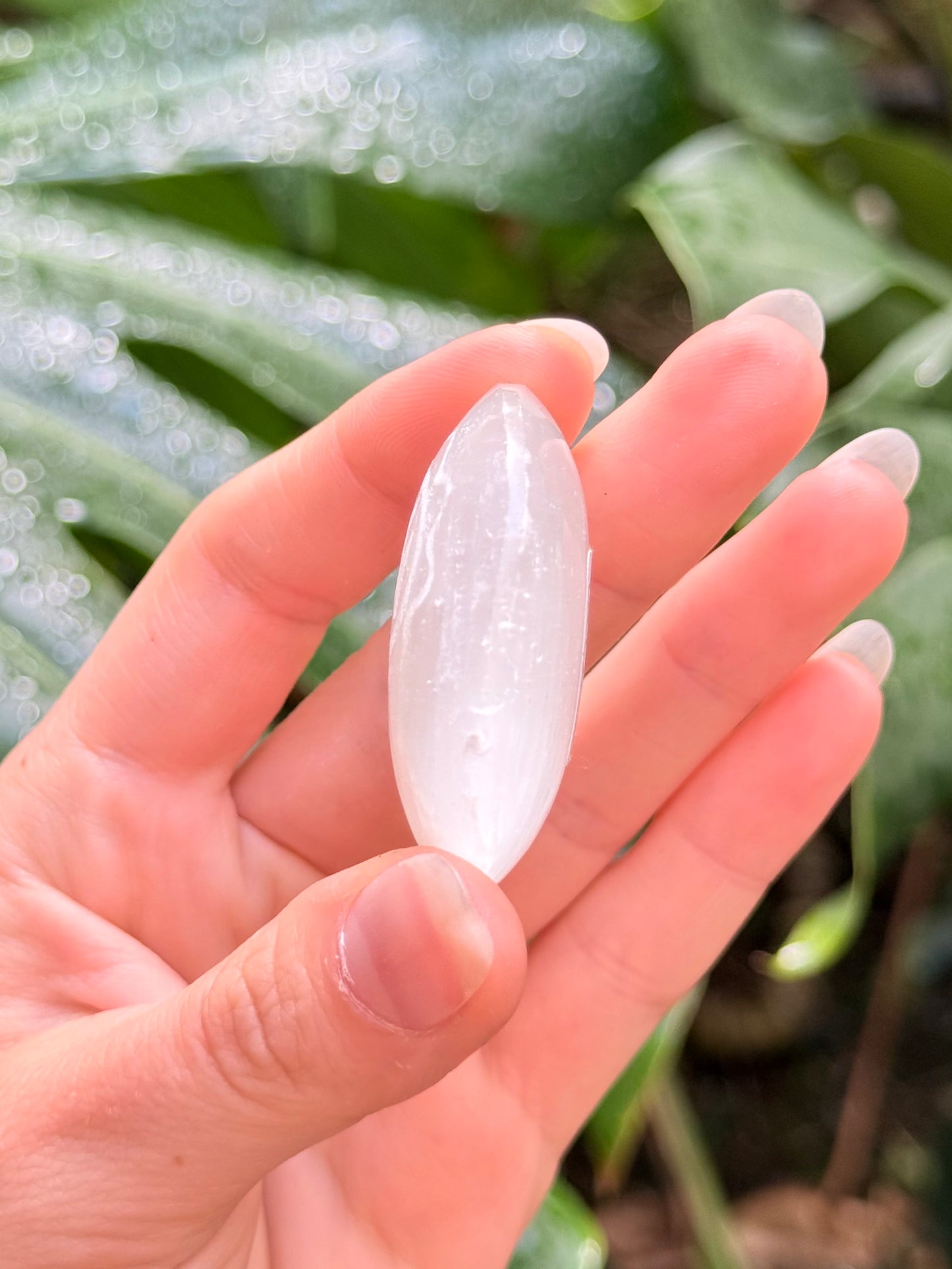 Selenite Palm Stone ( Manipura )