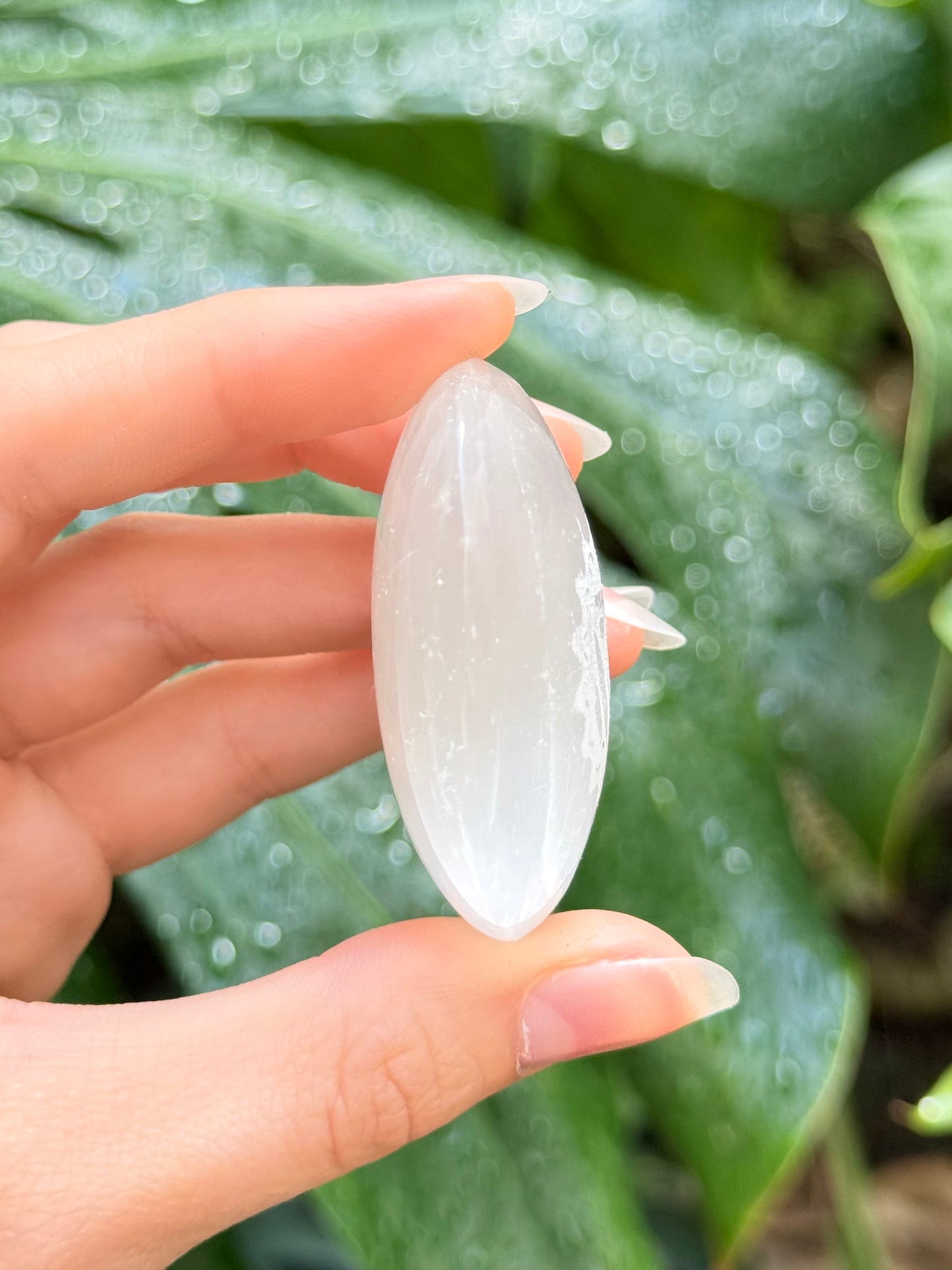 Selenite Palm Stone ( Vishuddha )