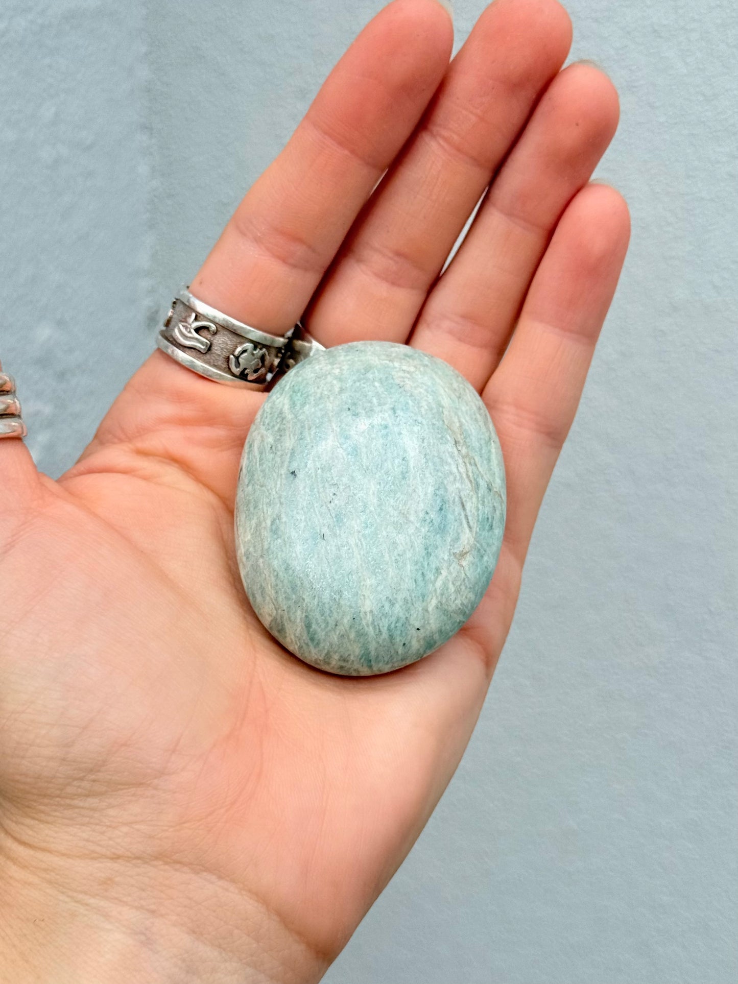 Amazonite Palm Stone