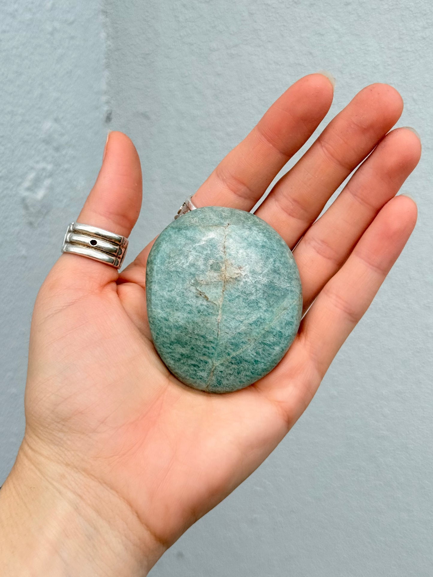 Amazonite Palm Stone