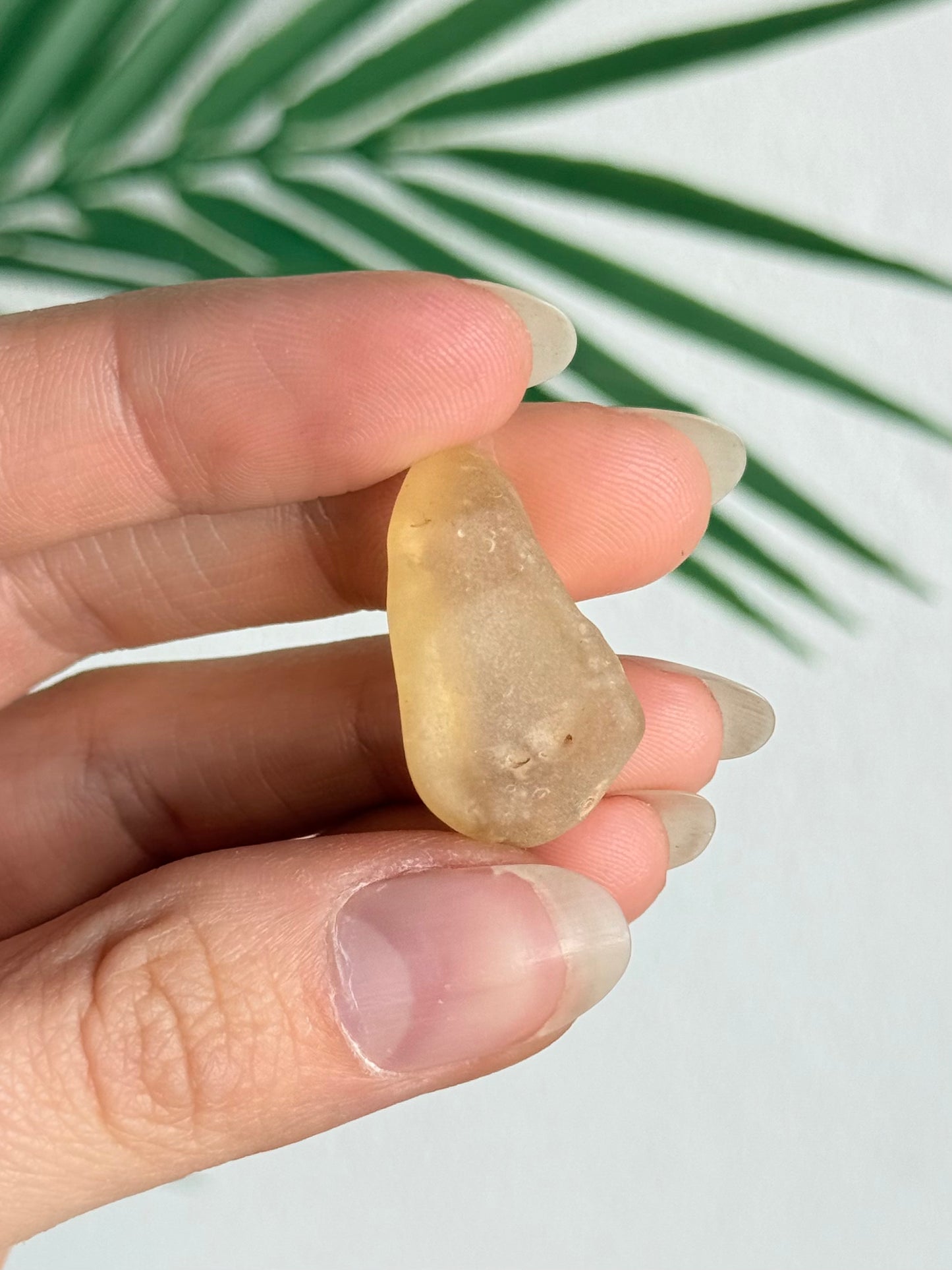Lybian Desert Glass