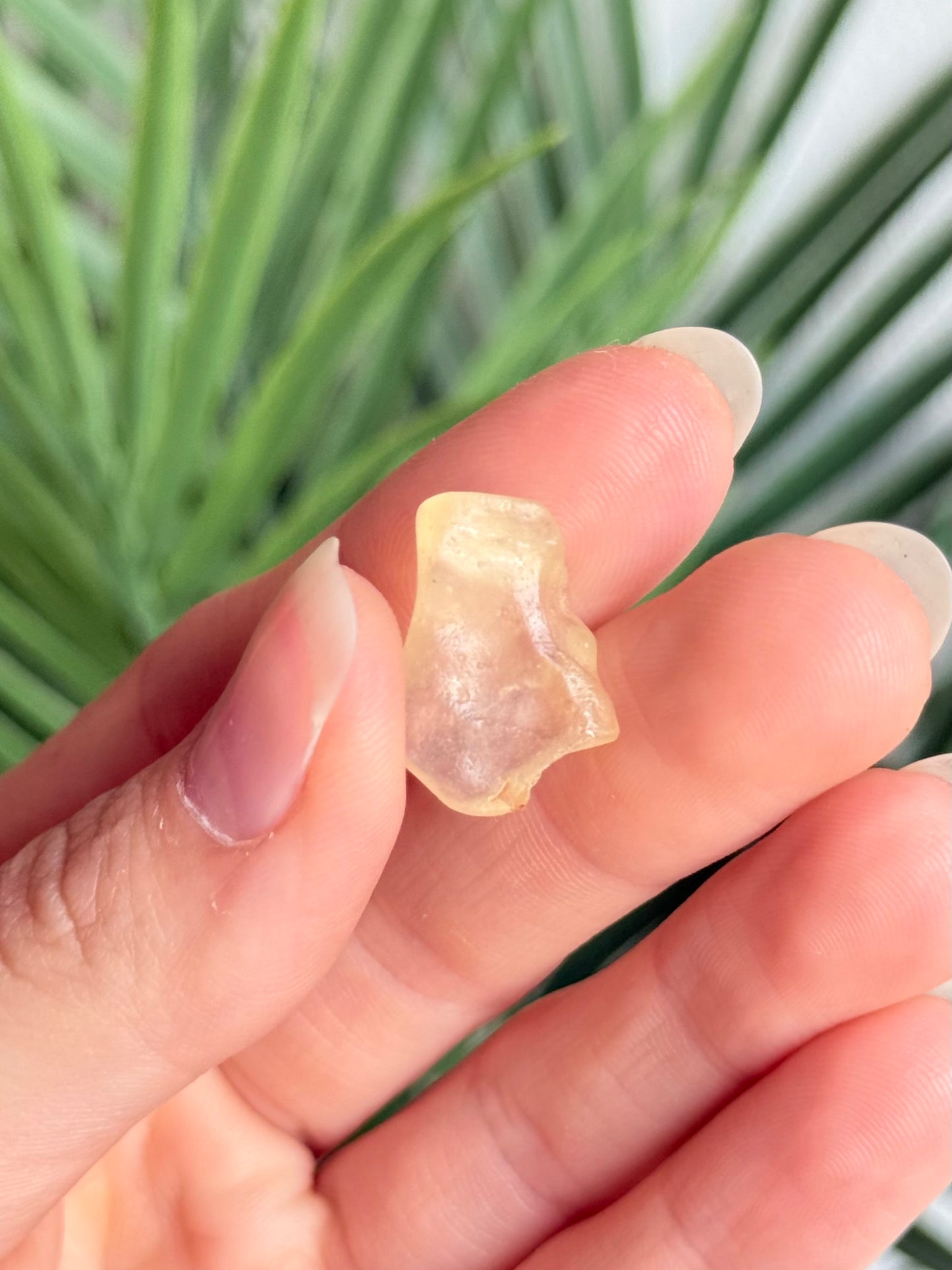 Lybian Desert Glass