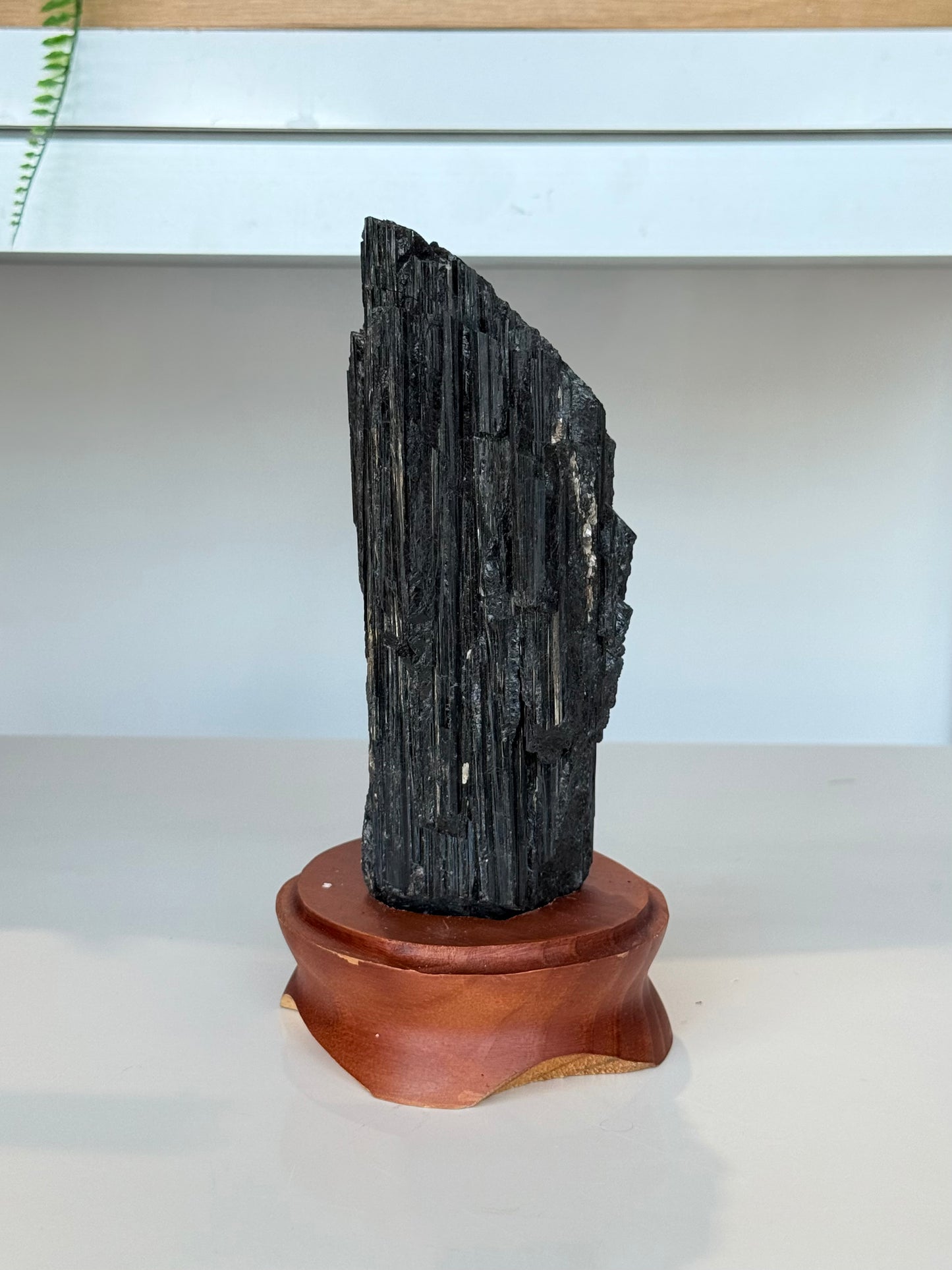 Black Tourmaline with wooden stand