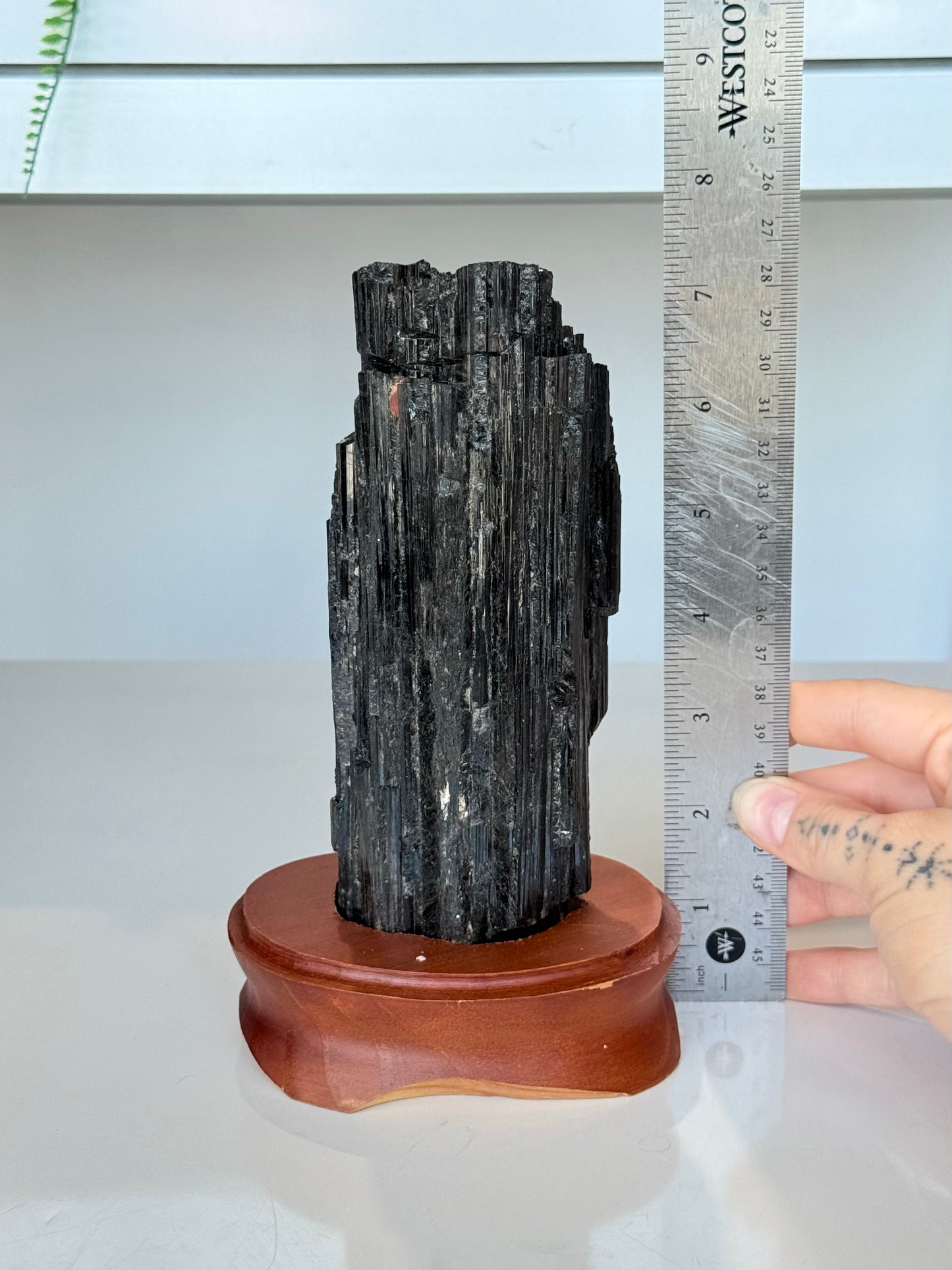 Black Tourmaline with wooden stand