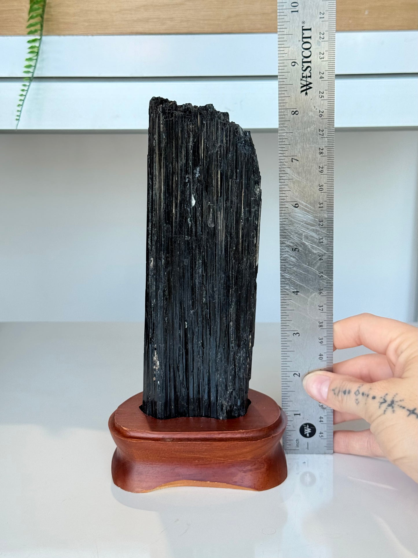 Black Tourmaline with wooden stand