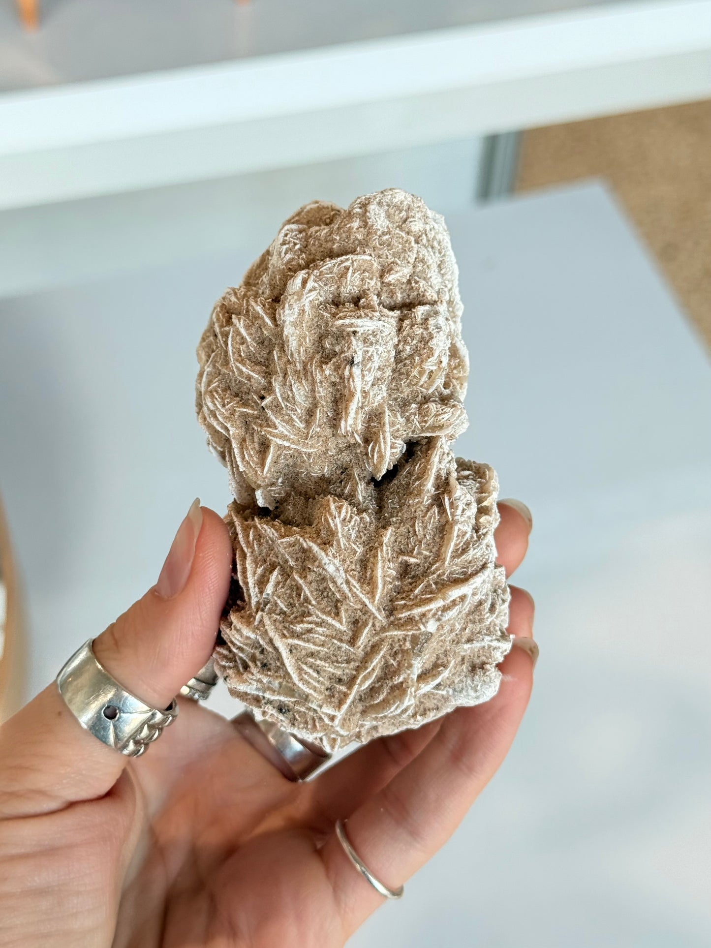 Desert Rose