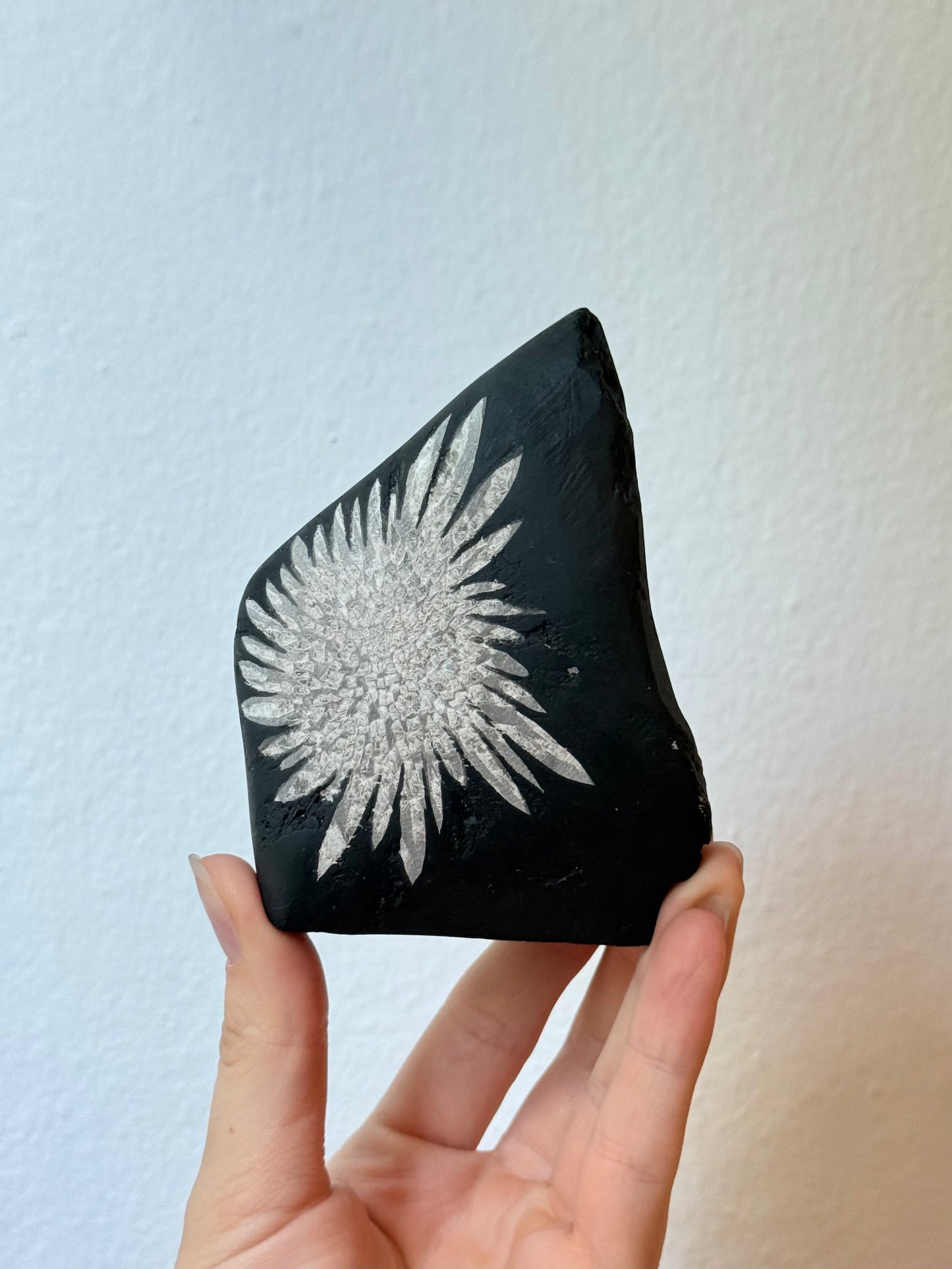 Chrysanthemum