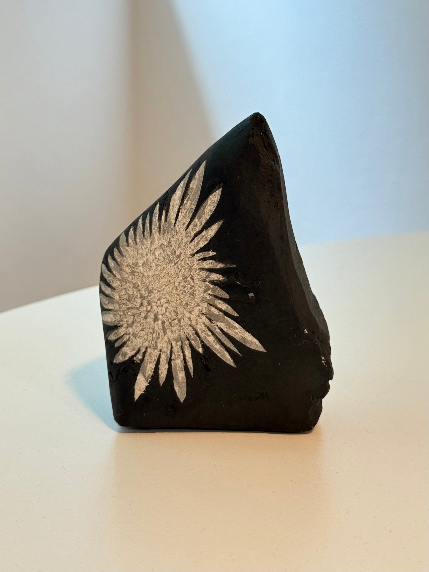 Chrysanthemum