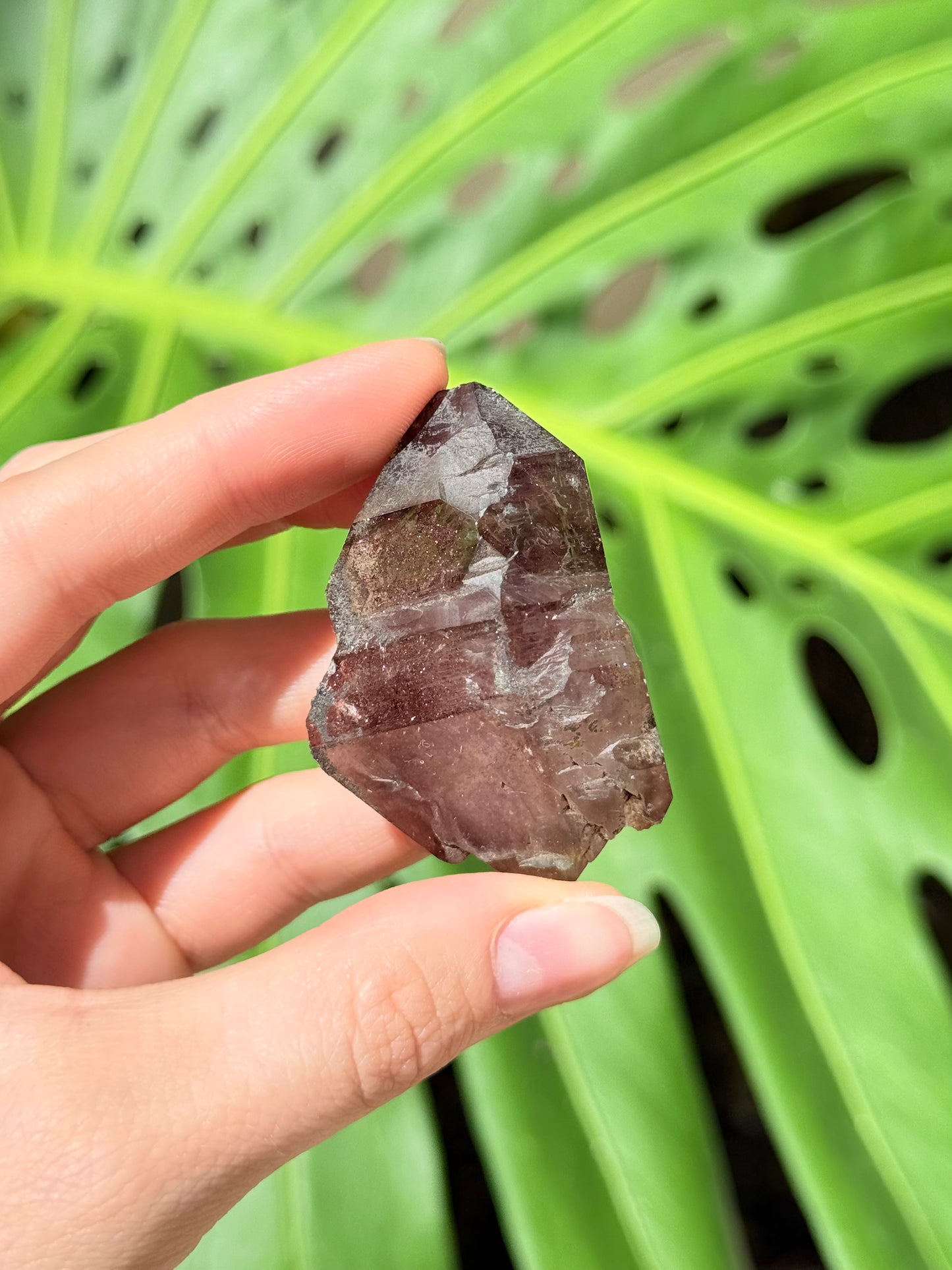 Elestial Amethyst