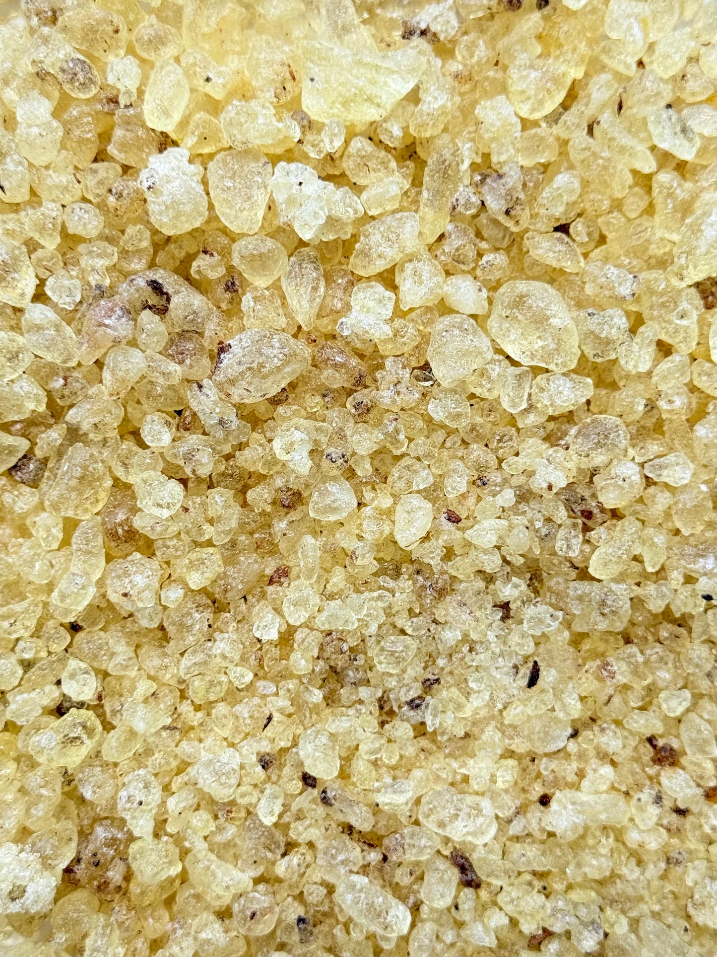 Egyptian Frankincense Resin / Resina de Frankincense de Egipto