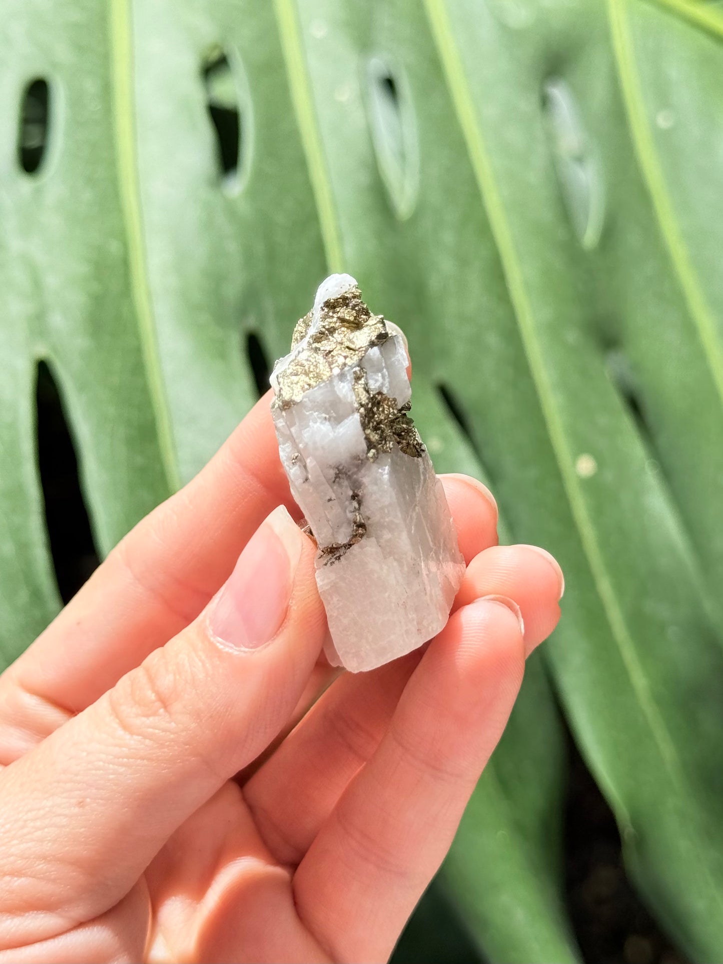 Pyrite and Calcite Stone