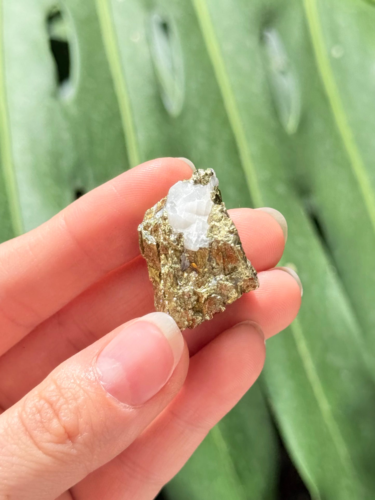 Pyrite and Calcite Stone