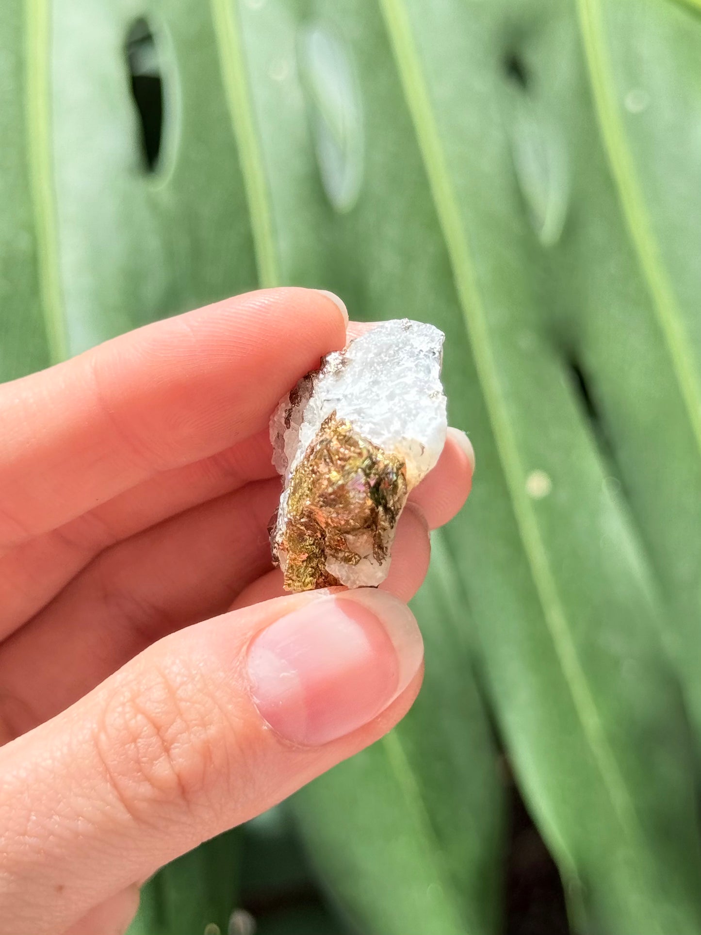 Pyrite and Calcite Stone