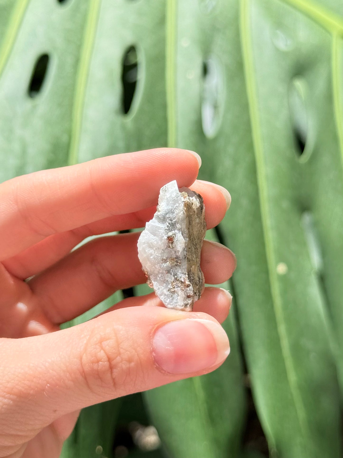 Pyrite and Calcite Stone