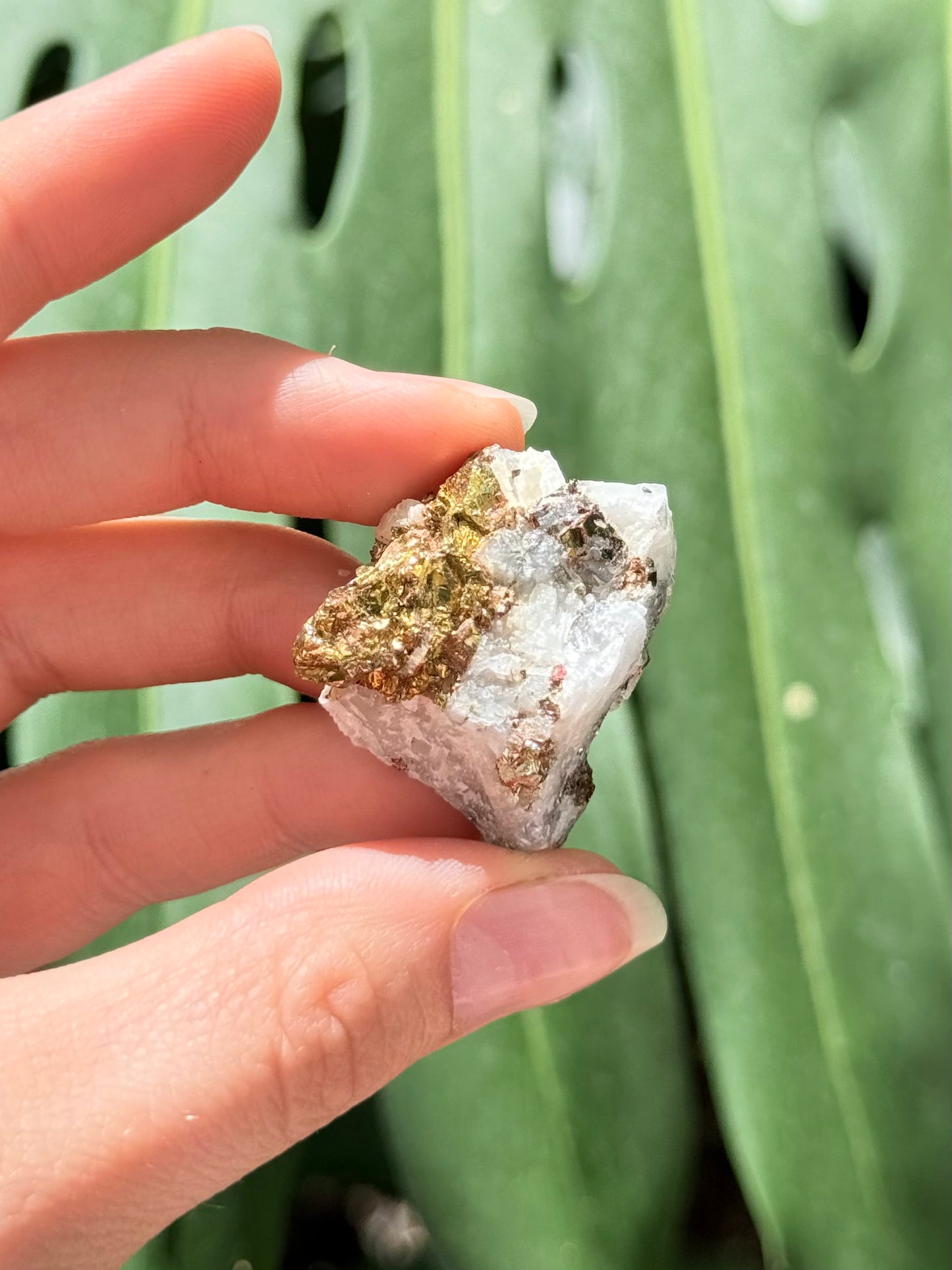 Pyrite and Calcite Stone