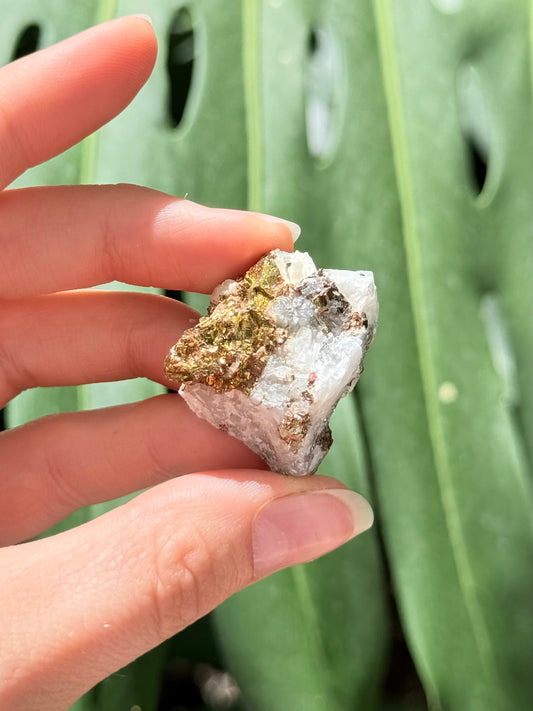Pyrite and Calcite Stone