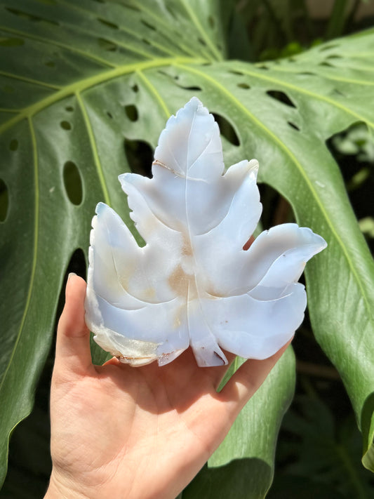 Blue Lace Agate Leaf
