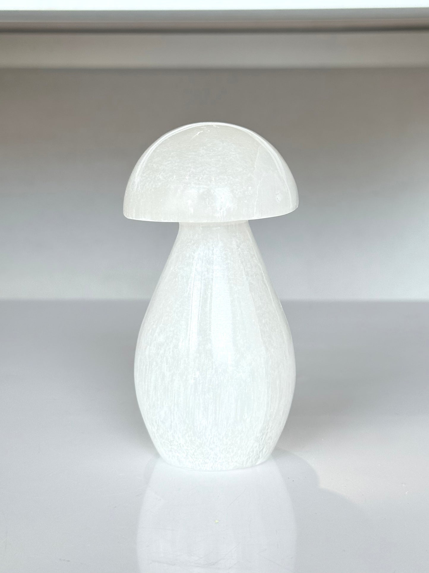 Selenite Mushroom Lamp
