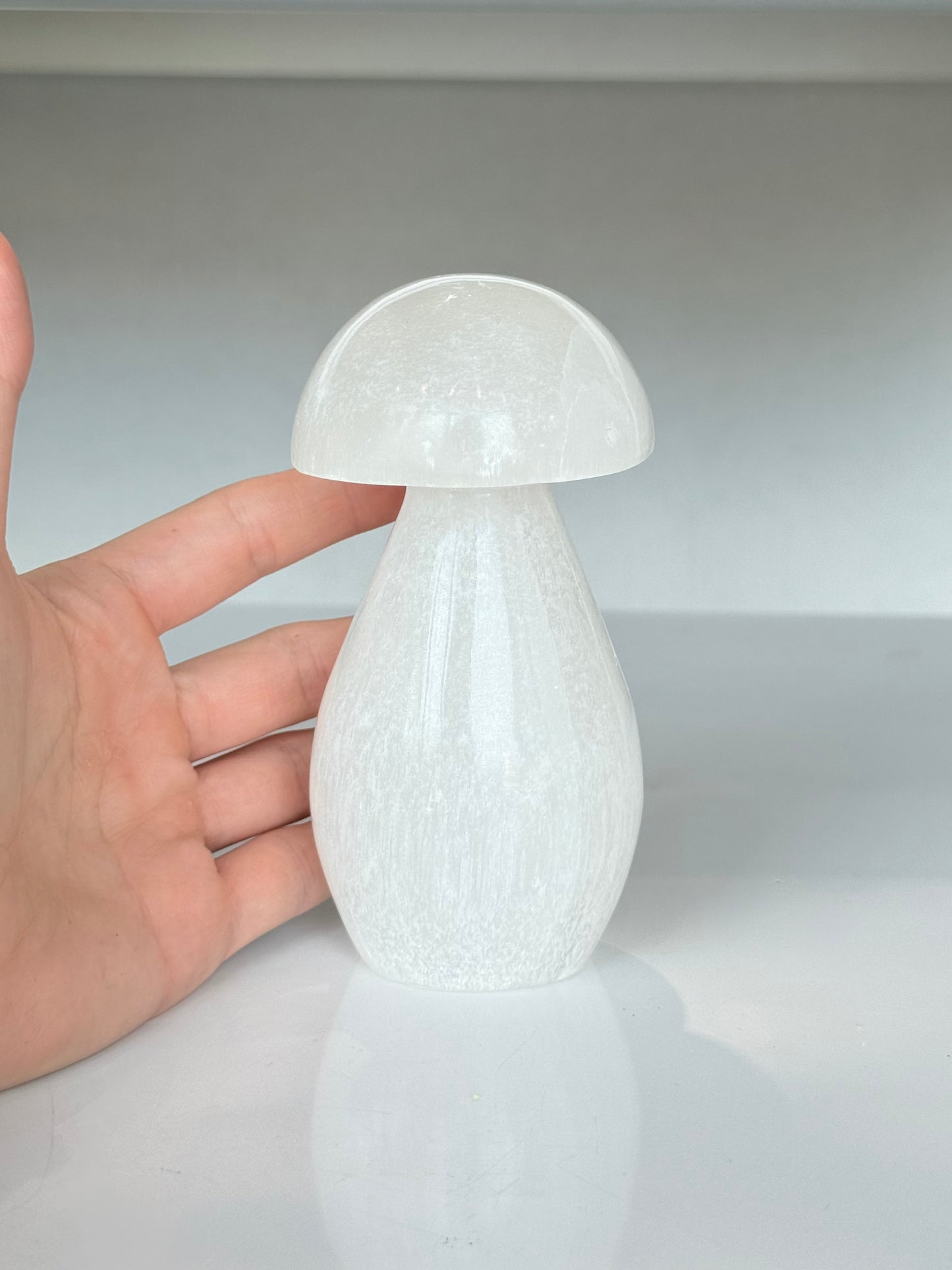 Selenite Mushroom Lamp