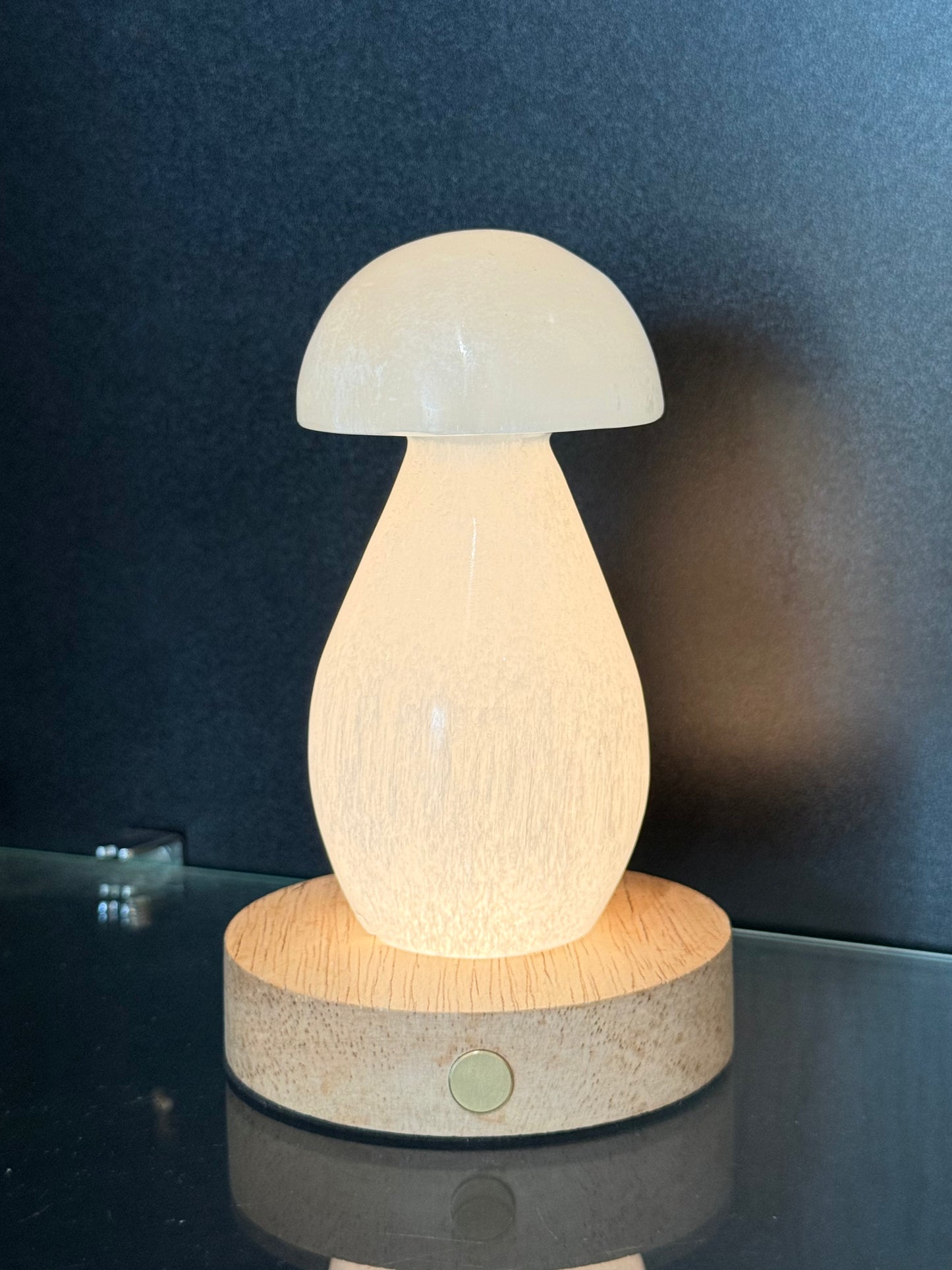 Selenite Mushroom Lamp