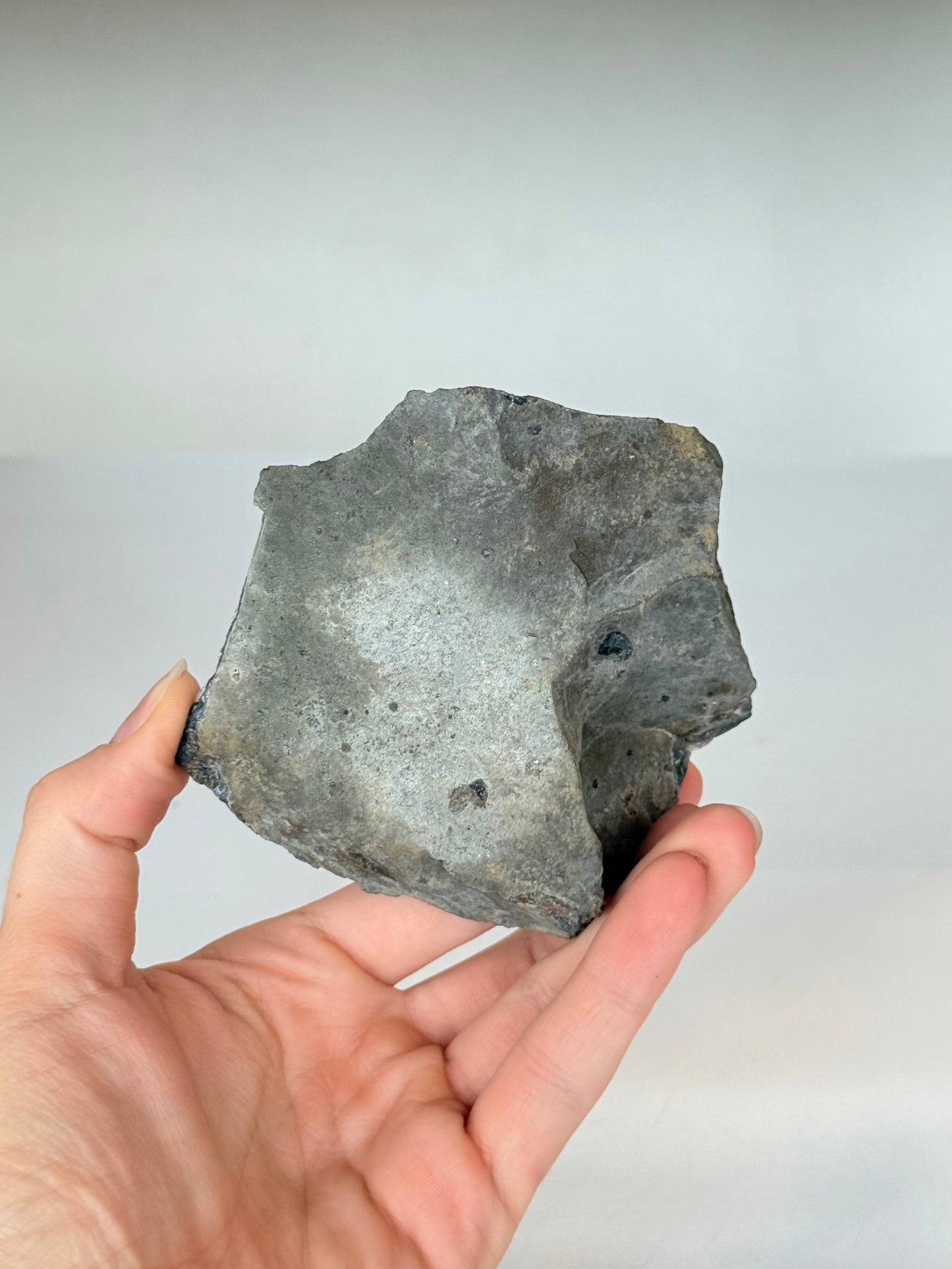 Black Amethyst - Brazil