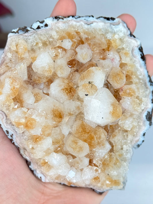 Citrine Cluster (Heat-Treated) / Clúster de Citrino (Tratado con Calor)