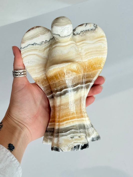 Aragonite Zebra Angel ( Mexico )