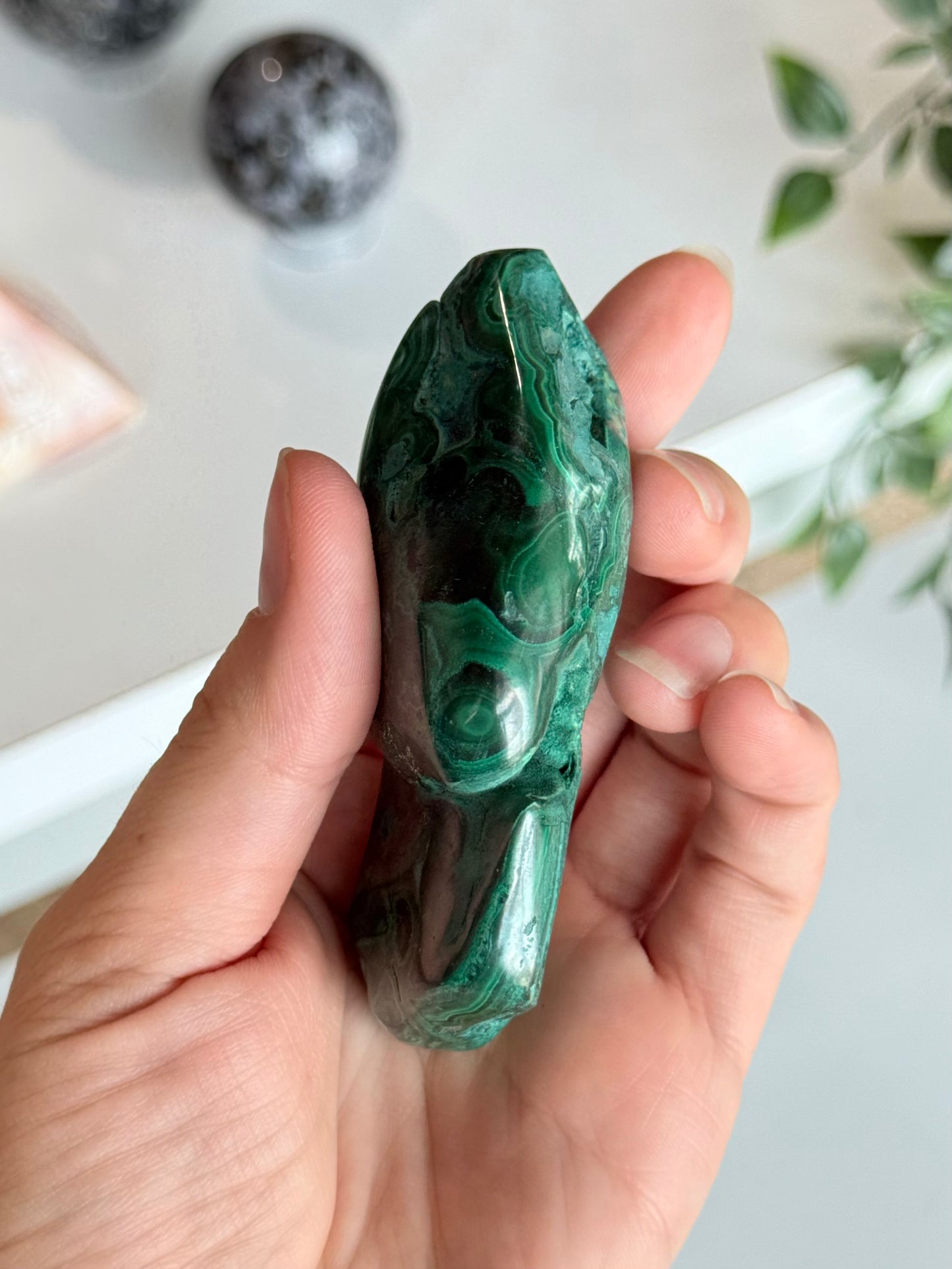 Polished Malachite Freeform | Freeform Pulido de Malaquita