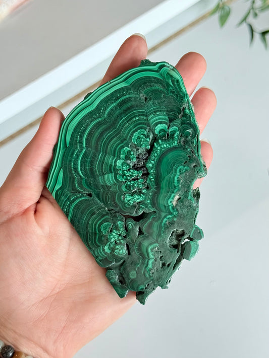 Polished Malachite Slab | Laja Pulida de Malaquita