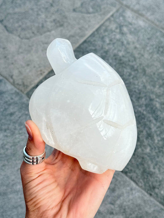 Milk Quartz Turtle (Madagascar )