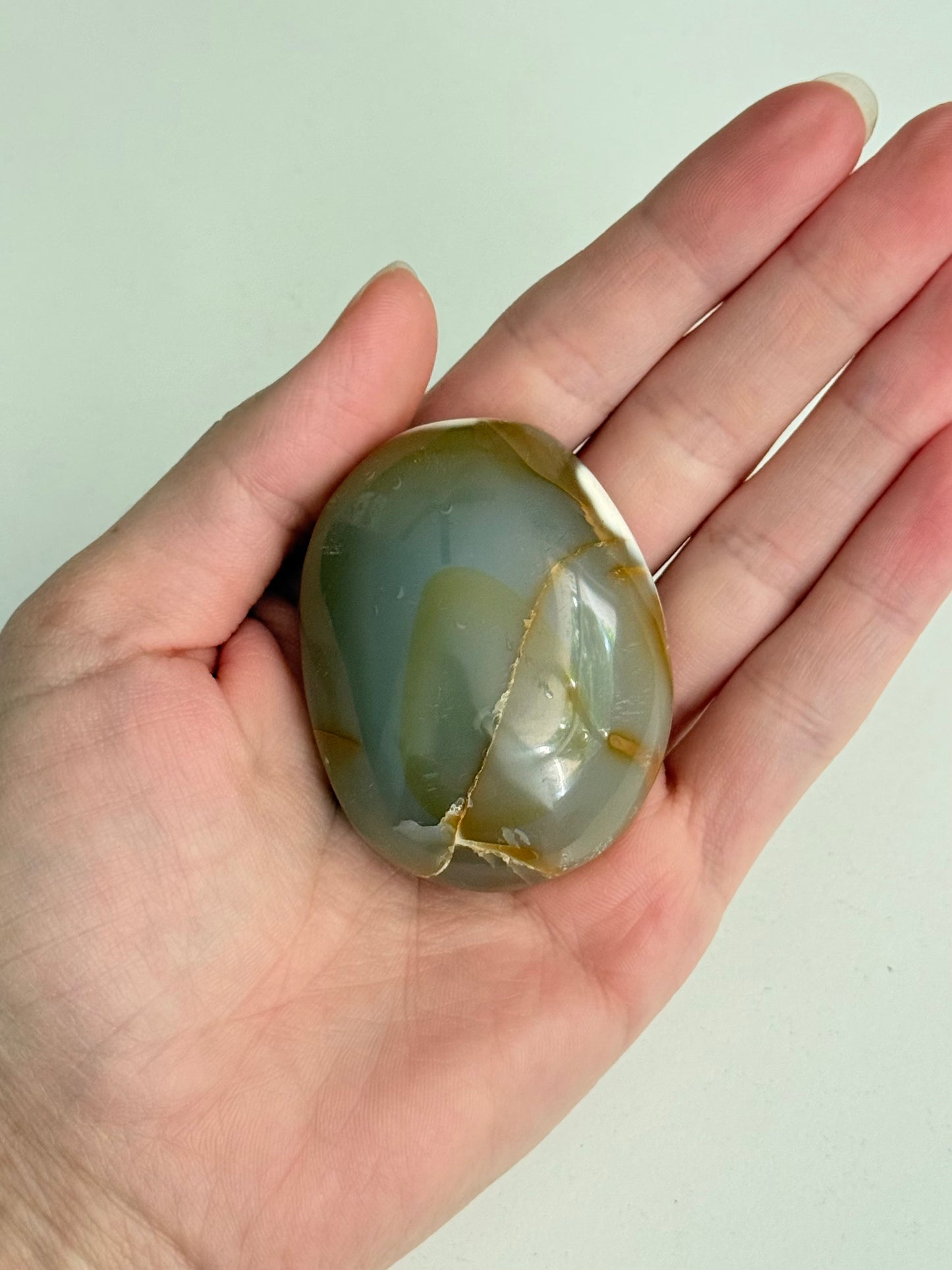 Orca Agate Palm Stone | Palm Stone de Ágata Orca ( Small )