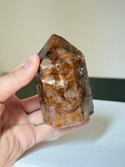 Golden Healer Point | Punta de Golden Healer