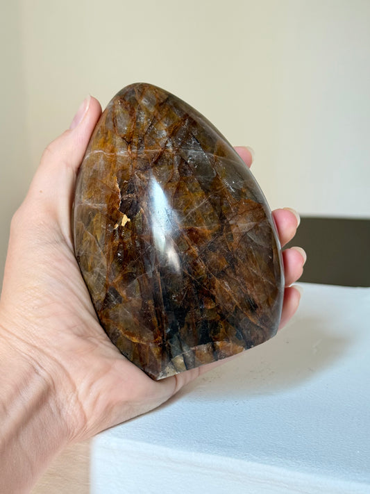 Golden Healer Freeform | Freeform de Golden Healer