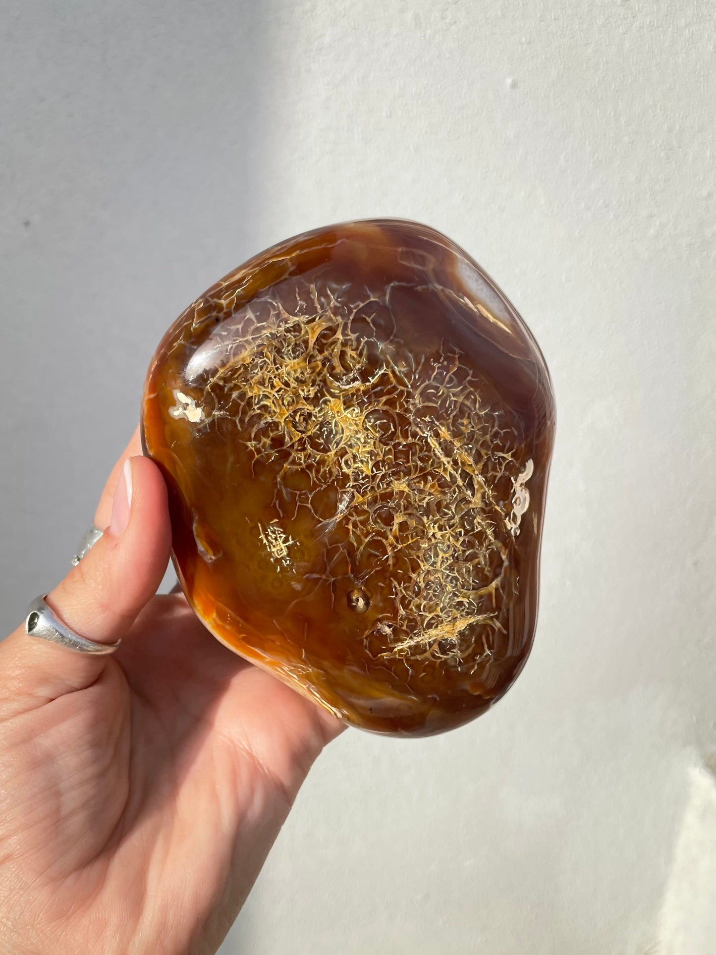 Carnelian Freeform