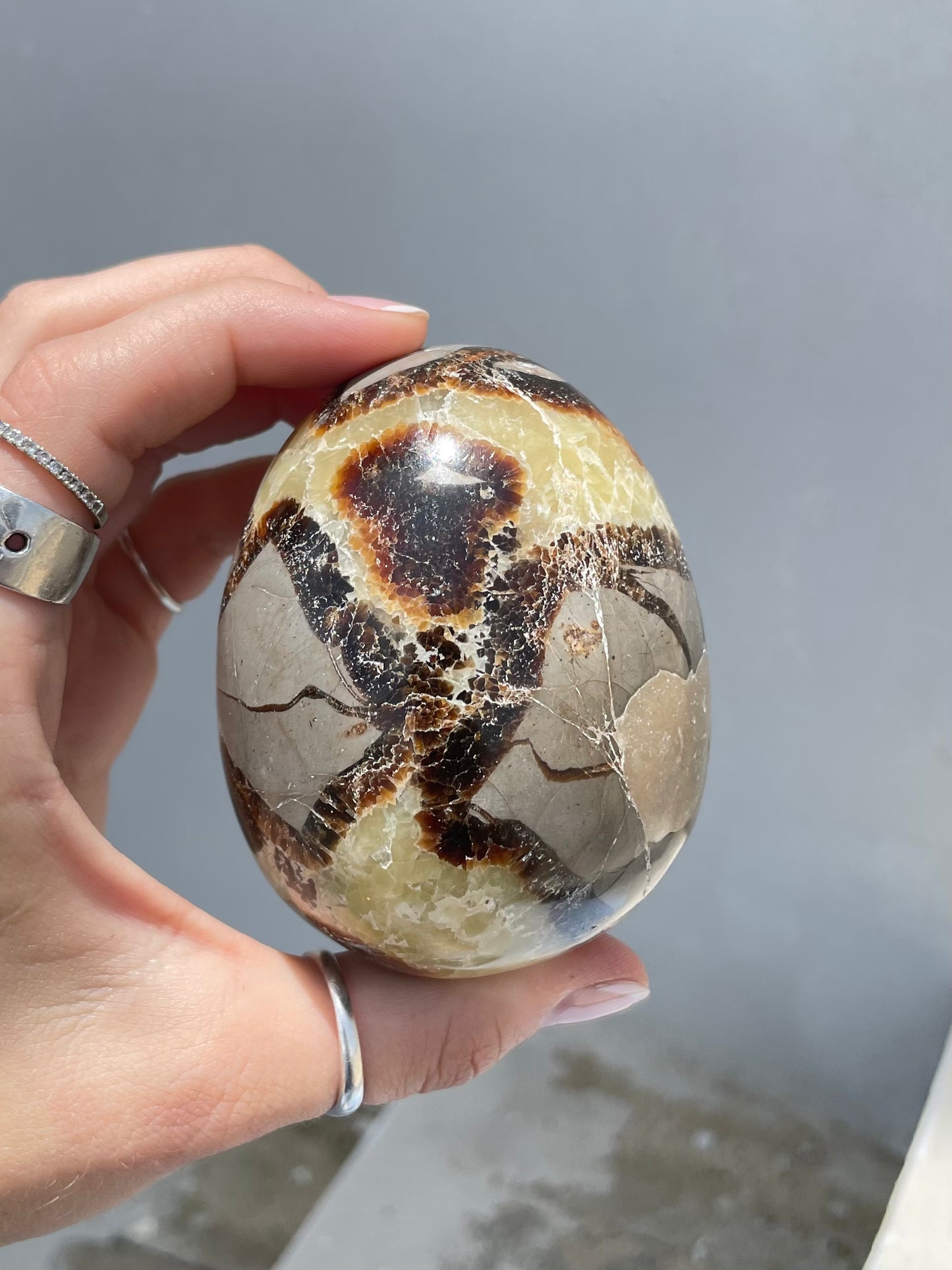 Septarian Egg